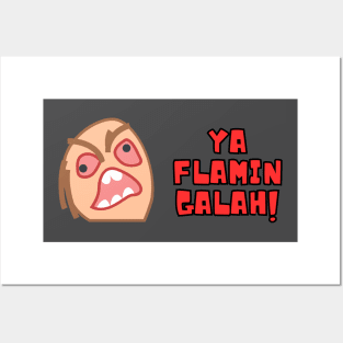 Ya Flamin Galah! Posters and Art